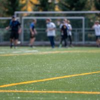 VSG-model garantieverklaring kunstgras